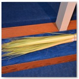 Palm Sunday 2014